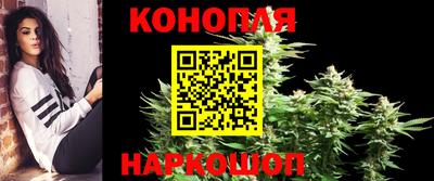 мяу мяу мука Кузнецк
