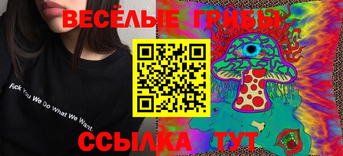 Артём  Псилоцибиновые грибы Magic Shrooms  Вход с VPN 